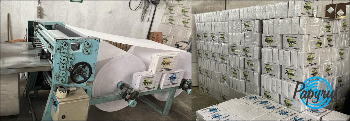 Papyrus Descartáveis