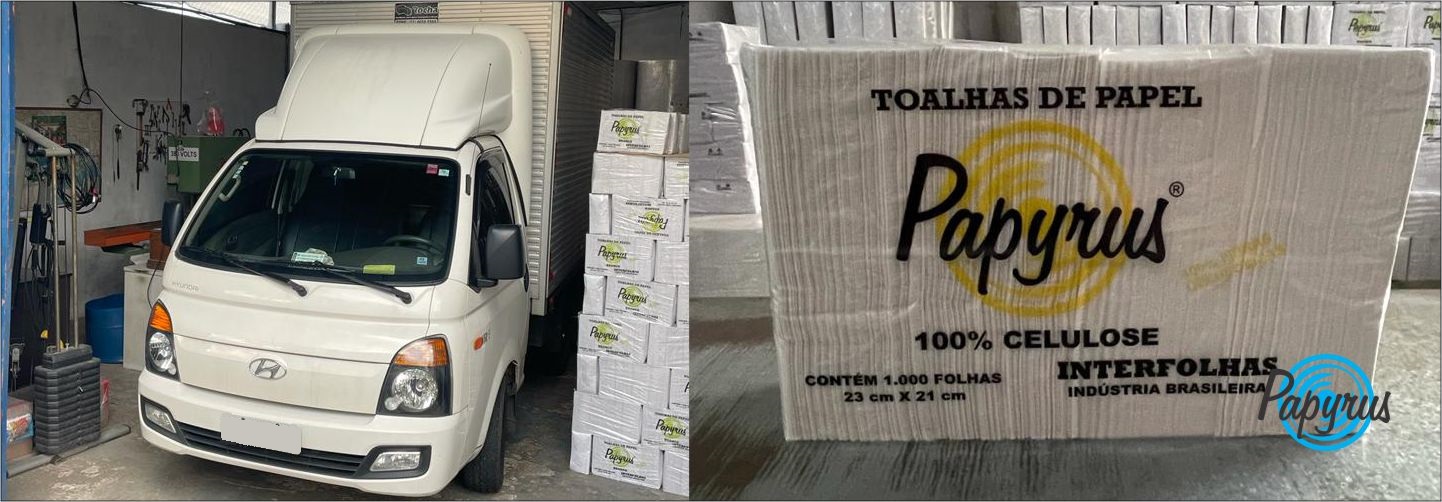 Papyrus Descartáveis