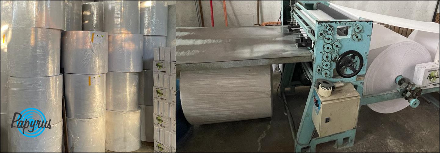 Papyrus Descartáveis